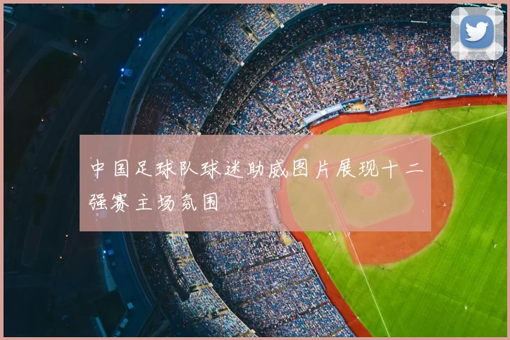 中国足球队球迷助威图片展现十二强赛主场氛围