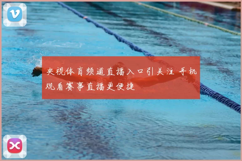 央视体育频道直播入口引关注 手机观看赛事直播更便捷