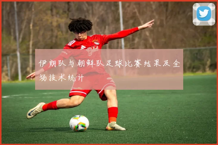 伊朗队与朝鲜队足球比赛结果及全场技术统计