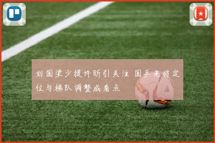 刘国梁少提许昕引关注 国乒老将定位与梯队调整成看点