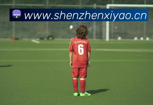 米兰app官方端网站入口 - 米兰online(中国)发展历程